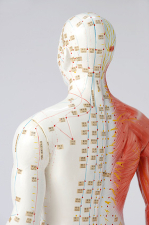 Traditional Chinese Acupuncture Points
